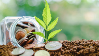 Investimentos Sustentáveis: Uma Visão sobre o Papel do Mercado Financeiro na Transformação Social e Ambiental